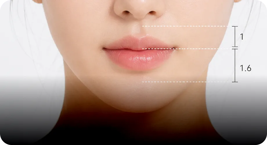 브랜드별 맞춤 디자인