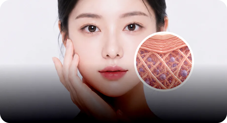 점진적·자연스러운 변화