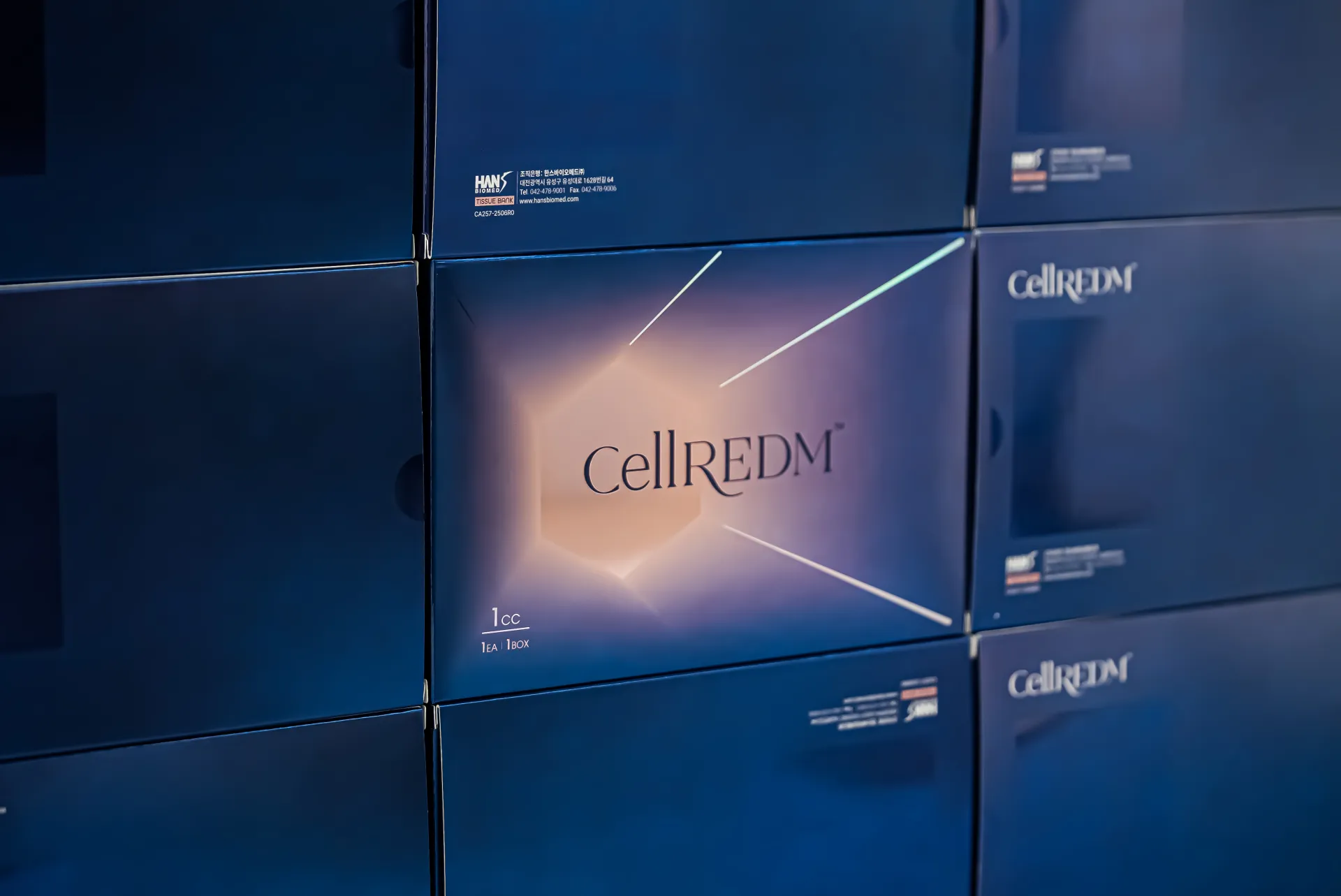 CellREDM干细胞培养液导入 院长亲自操作 RE:BERRY明洞